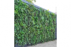 124 zeleni zidovi dekoracija